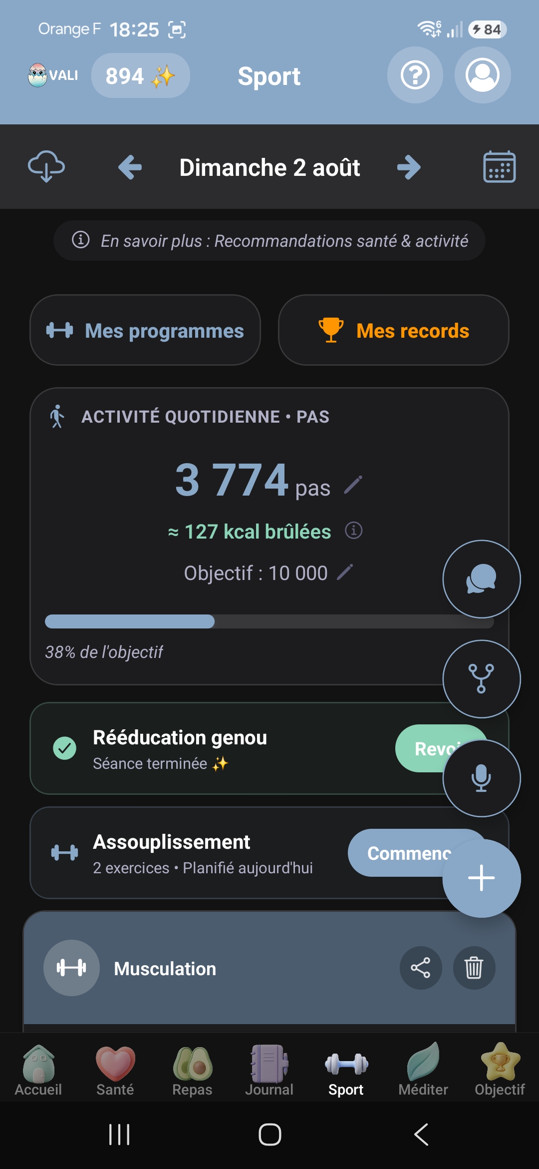 Sport : Historique des performances